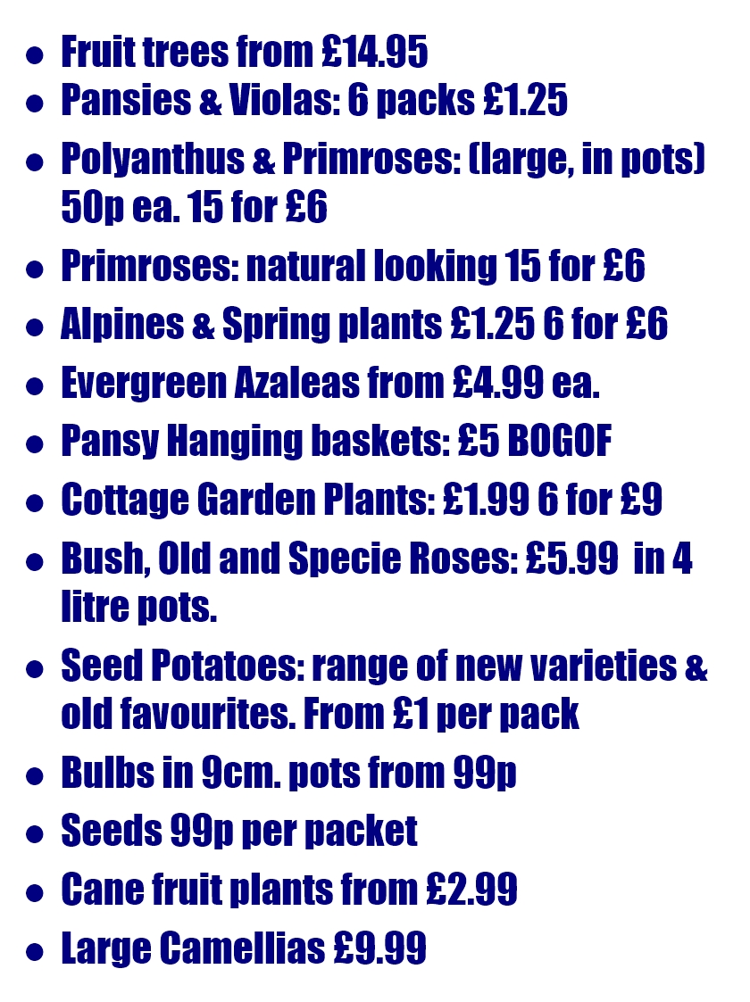 Spring 2016 Prices Baskets and Blooms