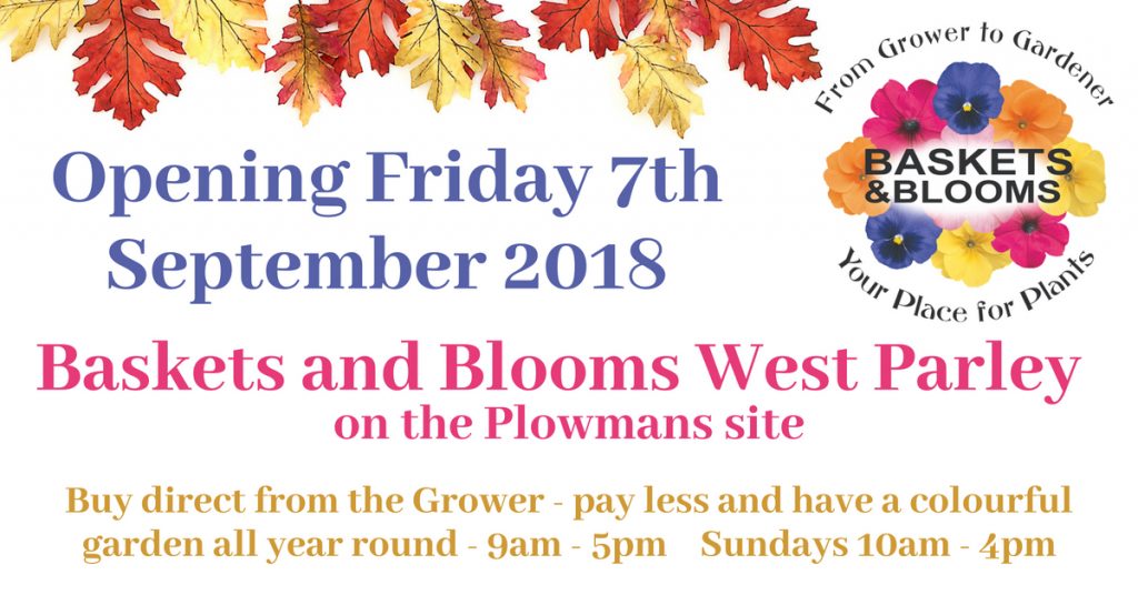 West Parley branch opening Sept.7th 2018 Baskets and Blooms