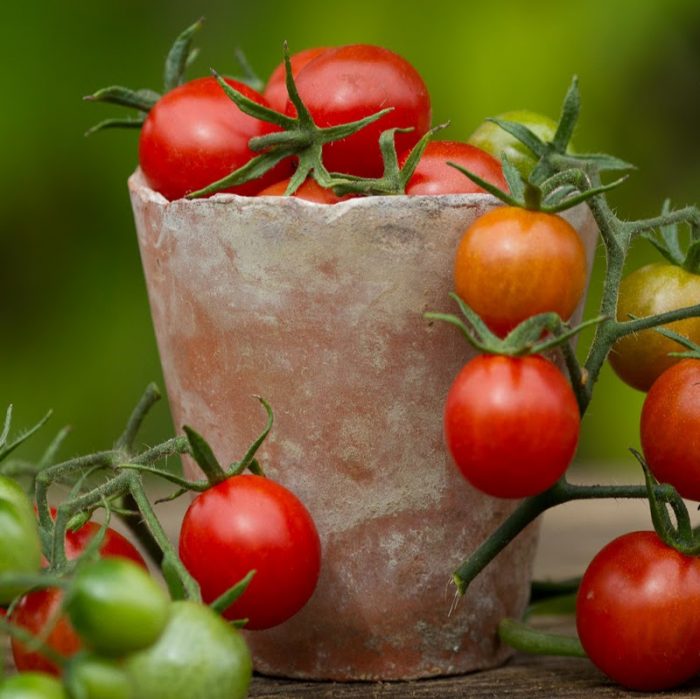 tomsbush Baskets and Blooms